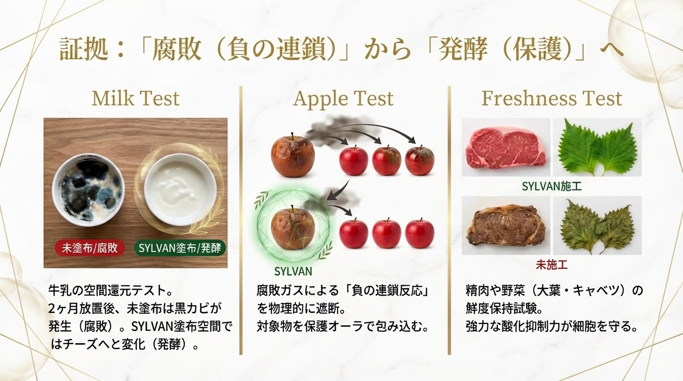 腐敗から発酵へ 3つの実証テスト